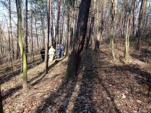 Grupa policjantów i strażak w kompleksie leśnym