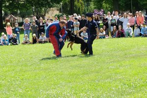 Policjantka trzyma na smyczy psa, który gryzie mężczyznę przez specjalny kombinezon