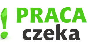 Wolne stanowisko pracy w Komendzie Powiatowej Policji w Lwówku Śląskim