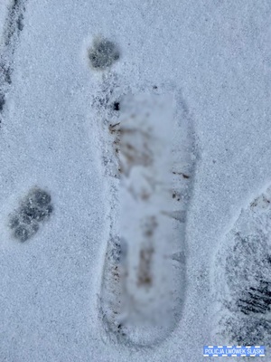 Odbicie śladu buta na śniegu