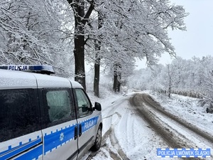 Zimowe warunki na drogach – Lwówecka Policja apeluje o ostrożność