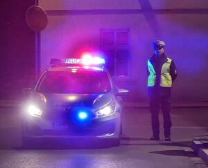 Policjanci zabezpieczali drogi krzyżowe na terenie powiatu lwóweckiego