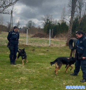 Spotkanie przewodniczek psów służbowych z uczniami klas mundurowych w Lubomierzu