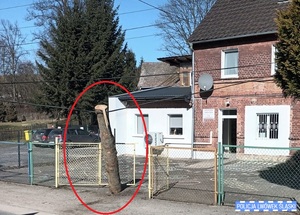 O krok od tragedii - scena jak z „Oszukać przeznaczenie” przy szkole w Rząsinach