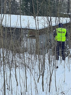 Zdjęcie przedstawia umundurowanego funkcjonariusza w odblaskowej kamizelce, który brodzi w śniegu sprawdzając pustostan znajdujący się w krzakach