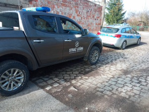 Wspólne patrole policjantów i strażników leśnych